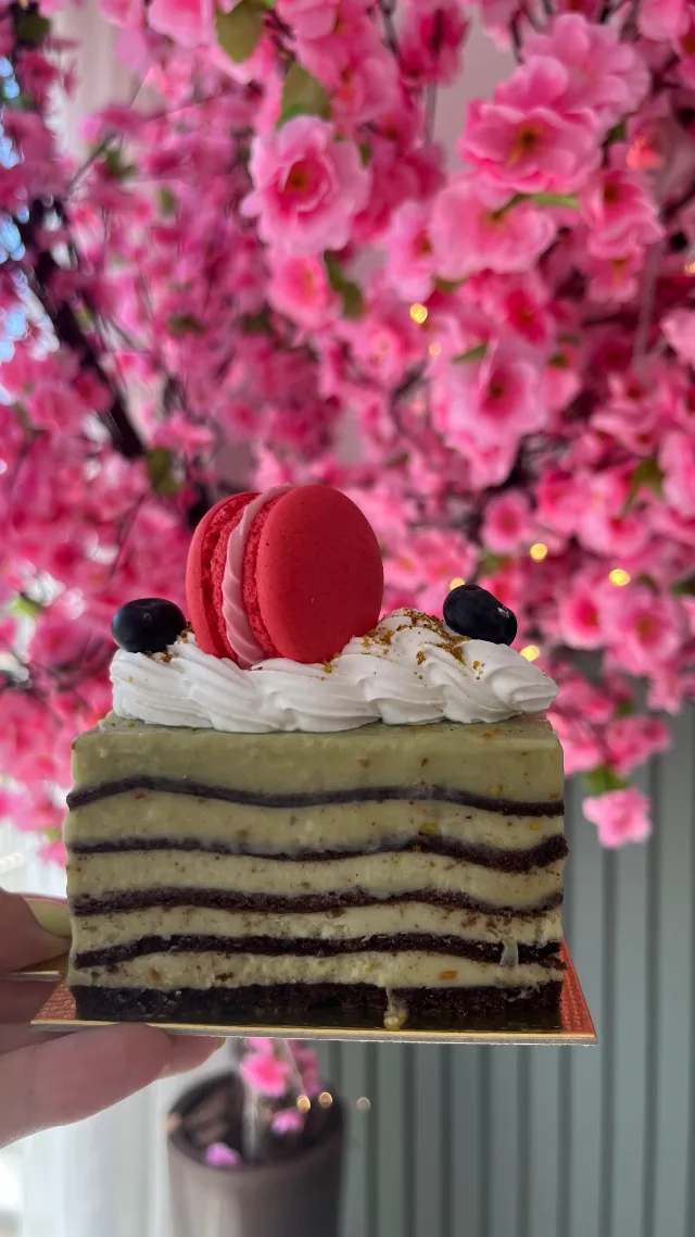 Pedaço alto de bolo em camadas verde-claras e de chocolate, com chantilly, um macaron vermelho e mirtilos por cima, segurado diante da árvore de flores rosa.